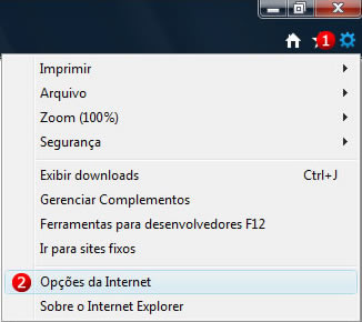 Menu Opções da Internet Figura 1