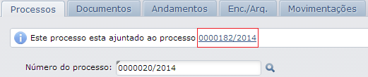 processo_ajuntado_consulta